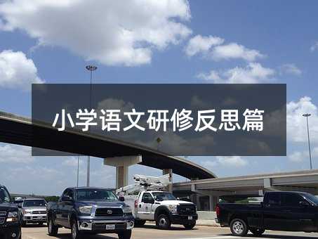 小學語文研修反思篇