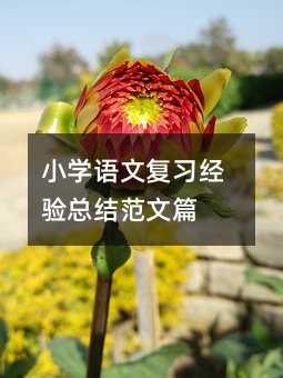 小學語文復習經驗總結范文篇