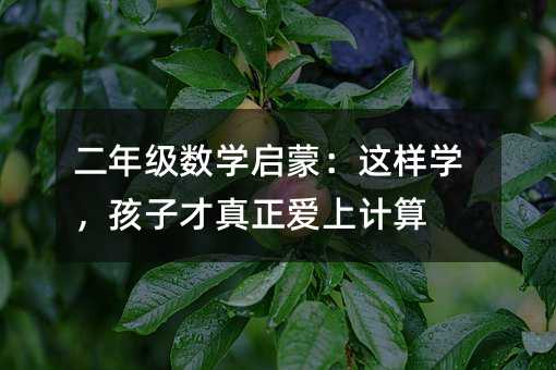 꼉(j)(sh)W(xu)ɣ@ӌW(xu)ӲӋ(j)