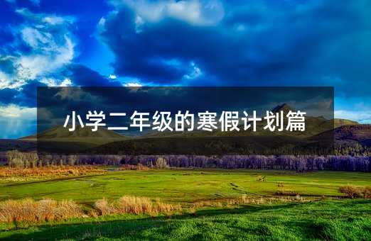 小學(xué)二年級(jí)的寒假計(jì)劃篇