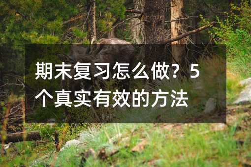 期末復(fù)習(xí)怎么做?5個(gè)真實(shí)有效的方法