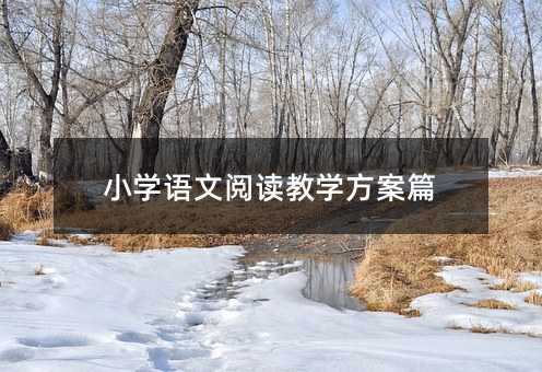 小學語文閱讀教學方案篇