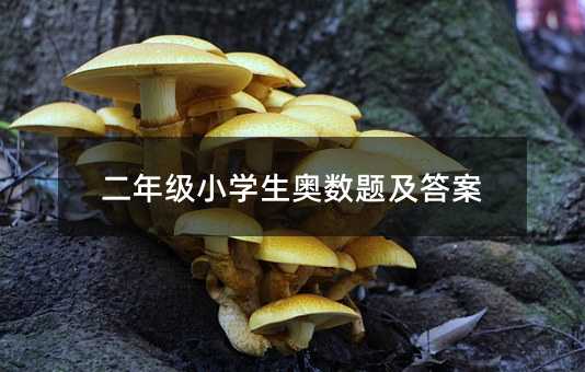 二年級小學(xué)生奧數(shù)題及答案
