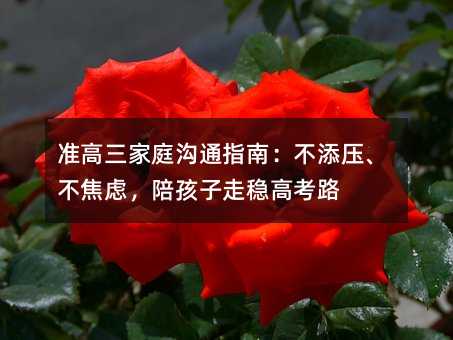 準高三家庭溝通指南:不添壓、不焦慮,陪孩子走穩(wěn)高考路