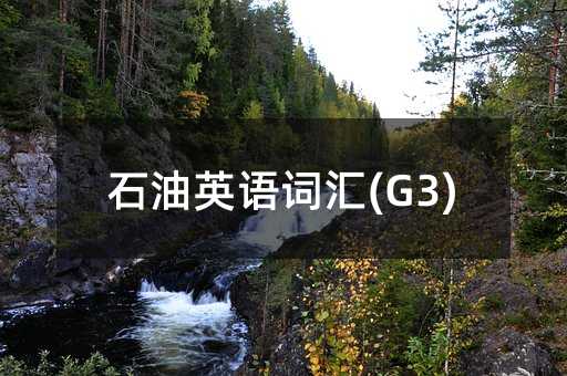石油英語詞匯(G3)