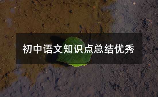初中語文知識點總結(jié)優(yōu)秀