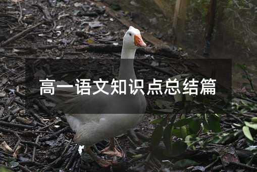 高一語文知識點總結篇
