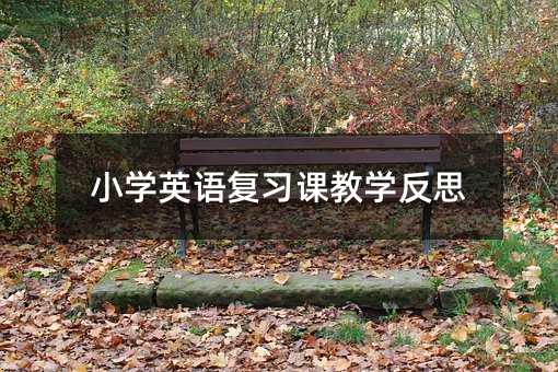 小學(xué)英語復(fù)習(xí)課教學(xué)反思