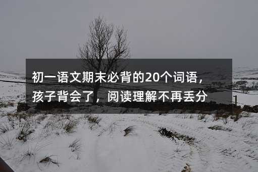 初一語文期末必背的20個詞語,孩子背會了,閱讀理解不再丟分