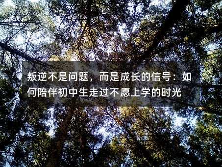 叛逆不是問題,而是成長的信號:如何陪伴初中生走過不愿上學的時光
