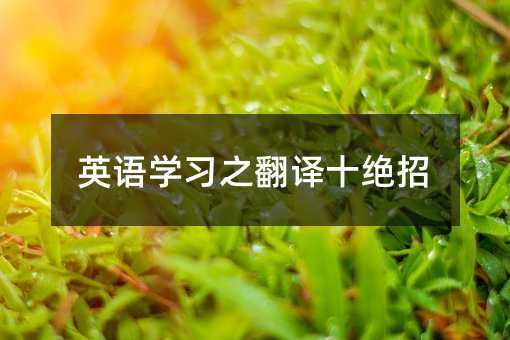 英語學習之翻譯十絕招