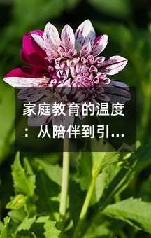 家庭教育的溫度:從陪伴到引導的日常實踐