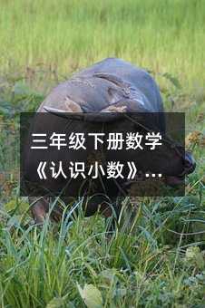 꼉Ԕ(sh)W(xu)J(rn)RС(sh)̌W(xu)O(sh)Ӌƪ