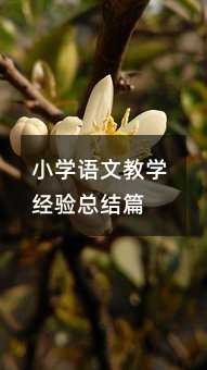 小學語文教學經驗總結篇