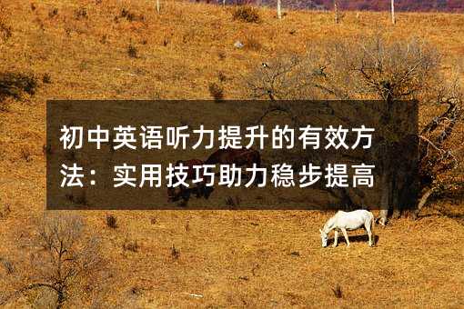 初中英語聽力提升的有效方法:實用技巧助力穩步提高