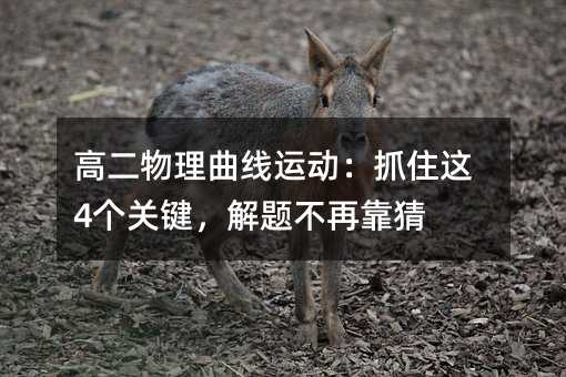 ߶\ӣץס@4P(gun)I}ٿ