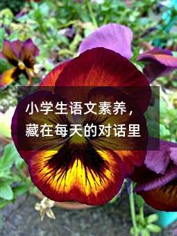 小學生語文素養,藏在每天的對話里