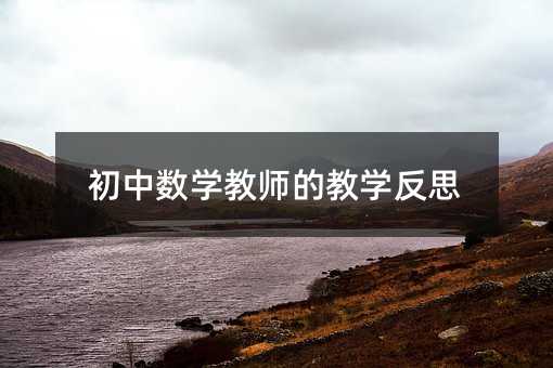 初中數(shù)學(xué)教師的教學(xué)反思