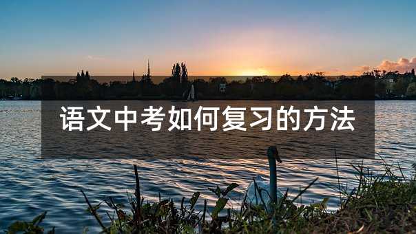 語文中考如何復習的方法