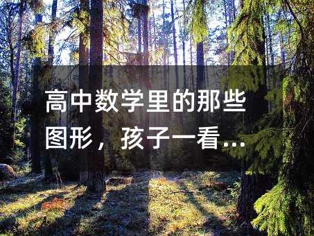 高中數(shù)學(xué)里的那些圖形,孩子一看就懂