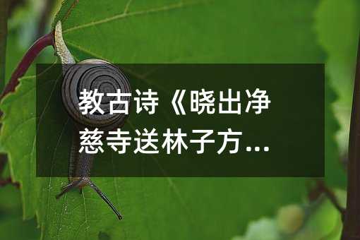 �̹�Ԋ���Գ������������ӷ���ƪ