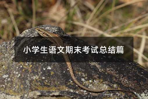 小學生語文期末考試總結篇