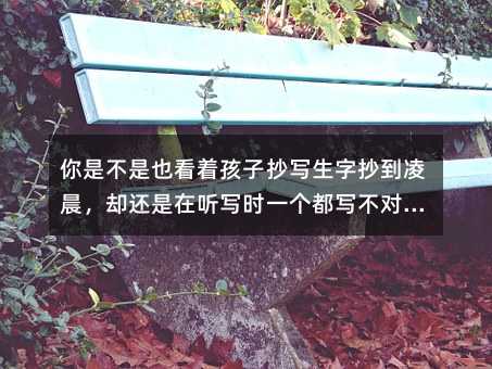 你是不是也看著孩子抄寫生字抄到凌晨,卻還是在聽寫時一個都寫不對?很多家長問我:“為什么我家孩子背課文像在啃石頭,越背越堵?”孩子一學就哭,不是懶,是你的方法在幫他關閉大腦的接收器。