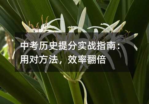 �п��vʷ��֌���ָ�ϣ��Ì�������Ч�ʷ���