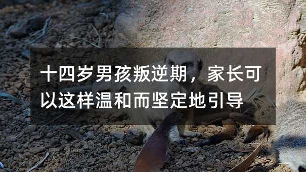 ʮ�Ěq�к������������L�����@�ӜغͶ��Զ�������