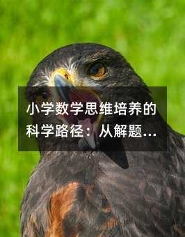 С�W���W˼�S���B�ĿƌW·�����Ľ��}���ɵ�������`