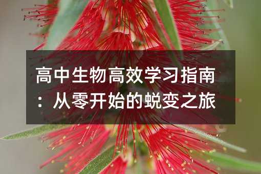 ���������Ч�W��ָ�ϣ������_ʼ��͑׃֮��