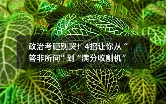 政治考砸別哭!4招讓你從“答非所問”到“滿分收割機”