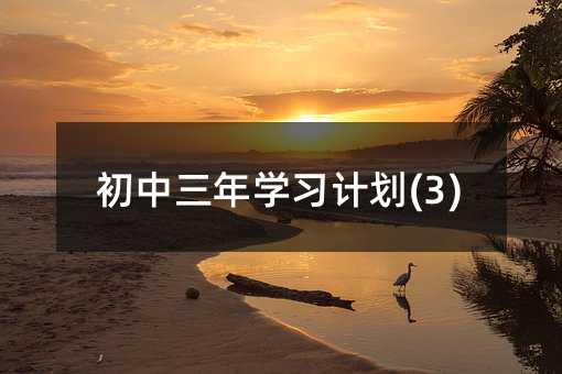 初中三年學習計劃(3)