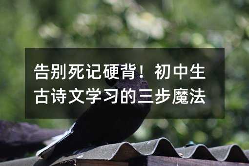 告別死記硬背!初中生古詩文學習的三步魔法