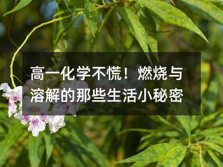 高一化學不慌!燃燒與溶解的那些生活小秘密