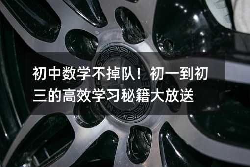 初中數學不掉隊!初一到初三的高效學習秘籍大放送