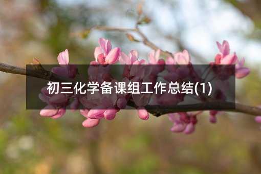 初三化學備課組工作總結(1)