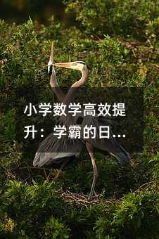 СW(sh)WЧWԵճTc˼SSw(zhn)ָ