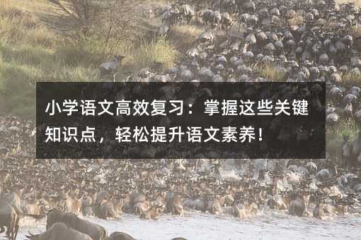 小學語文高效復習:掌握這些關鍵知識點,輕松提升語文素養!
