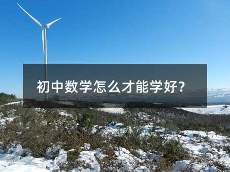 初中數學怎么才能學好?