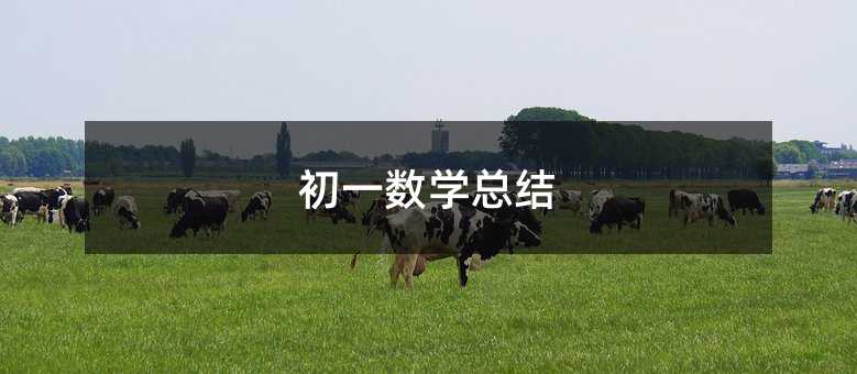 初一數(shù)學(xué)總結(jié)
