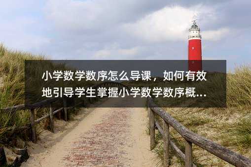 小學數學數序怎么導課,如何有效地引導學生掌握小學數學數序概念?