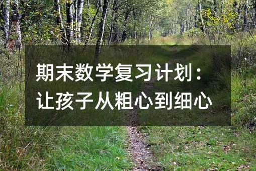 期末數學復習計劃:讓孩子從粗心到細心