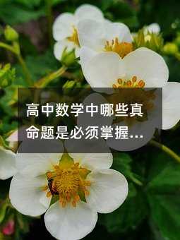 高中數學中哪些真命題是必須掌握的?