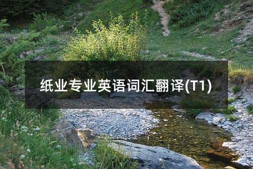 紙業專業英語詞匯翻譯(T1)