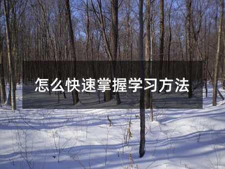 怎么快速掌握學習方法
