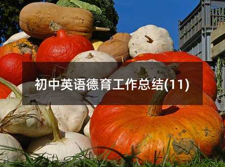 初中英語(yǔ)德育工作總結(jié)(11)