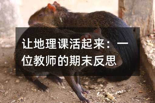 讓地理課活起來:一位教師的期末反思