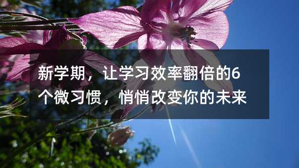 新學期,讓學習效率翻倍的6個微習慣,悄悄改變你的未來