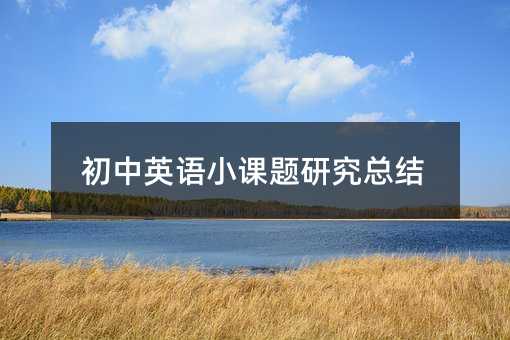 初中英語小課題研究總結(jié)